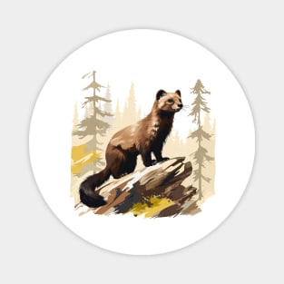 Pine Marten Magnet